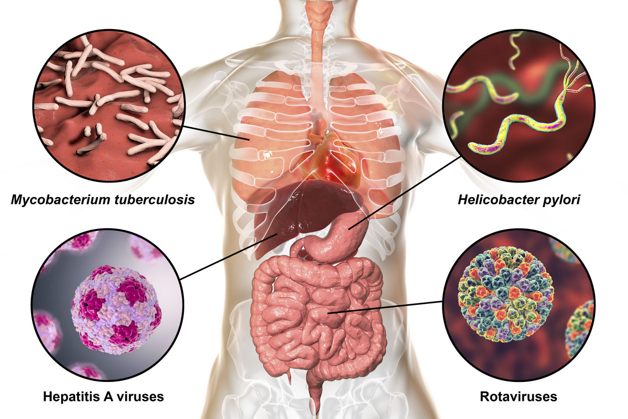 Hepatitis